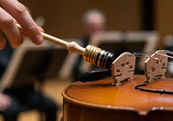 A professional uses an A440 tuning fork with a violin.