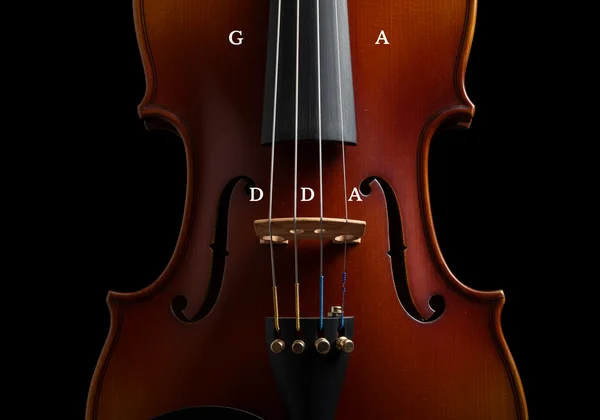 Close-up of violin fingerboard showing G, D, A, E strings