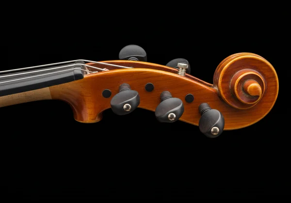 Close-up showing violin pegs and tailpiece fine tuners