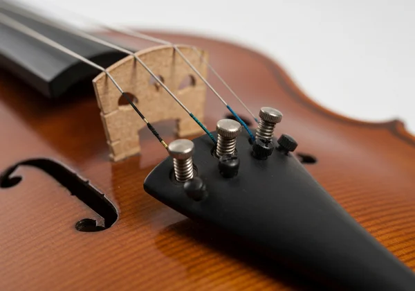 Close-up of violin fine tuners on tailpiece