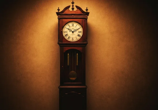 Violin in protective case with humidifier