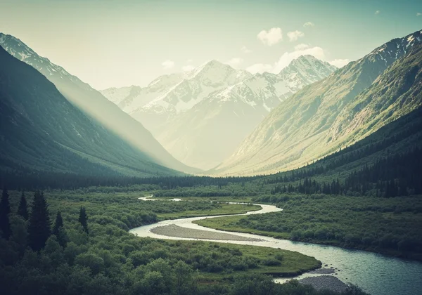Flat lay of violin string changing tools and new strings
